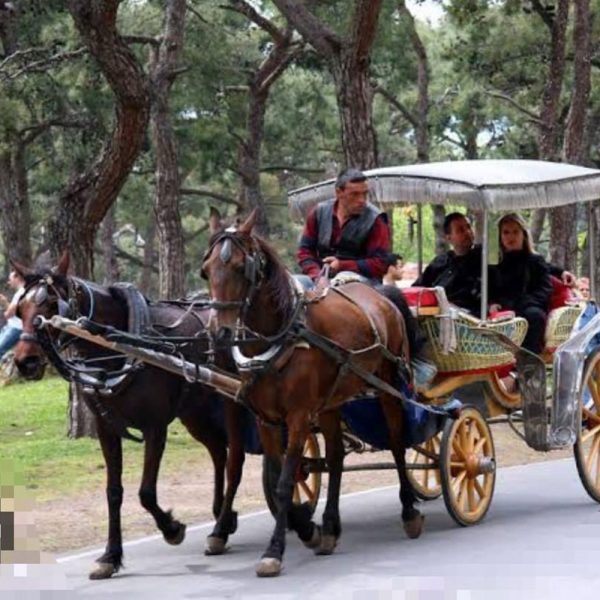 Carriage Tours 15 Minute